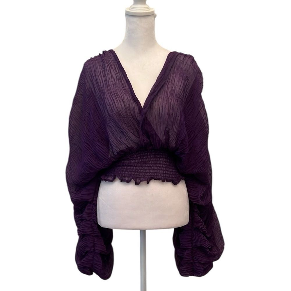 Gorgeous billowy sheer sleeves a sheer faux wrap front elastic cropped waist EUC
